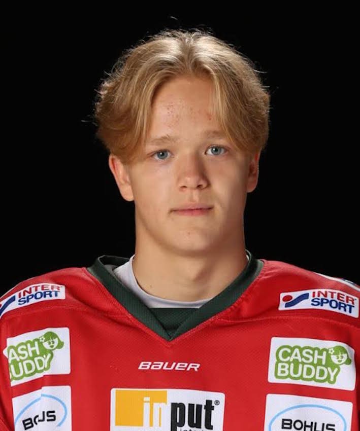 Liam Dower Nilsson, detroit red Wings