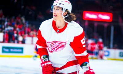 Tyler Bertuzzi, Detroit Red Wings