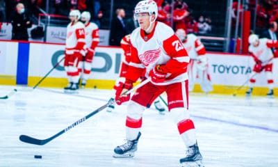 Lucas Raymond, Detroit Red Wings