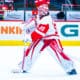 Alex Nedeljkovic, Detroit Red-Wings