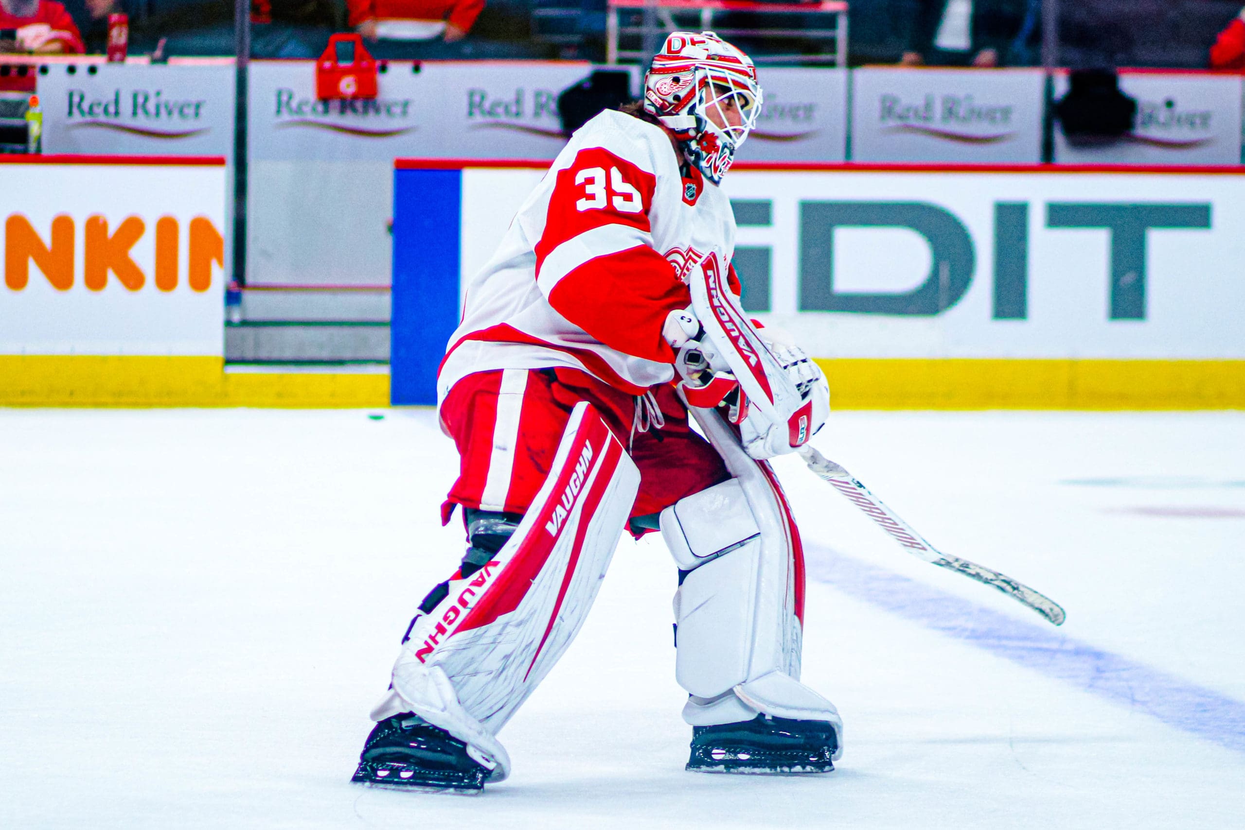 Alex Nedeljkovic, Detroit Red Wings