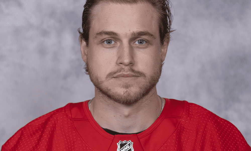 Mitchell Stephens, Detroit Red Wings