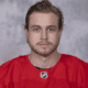 Mitchell Stephens, Detroit Red Wings