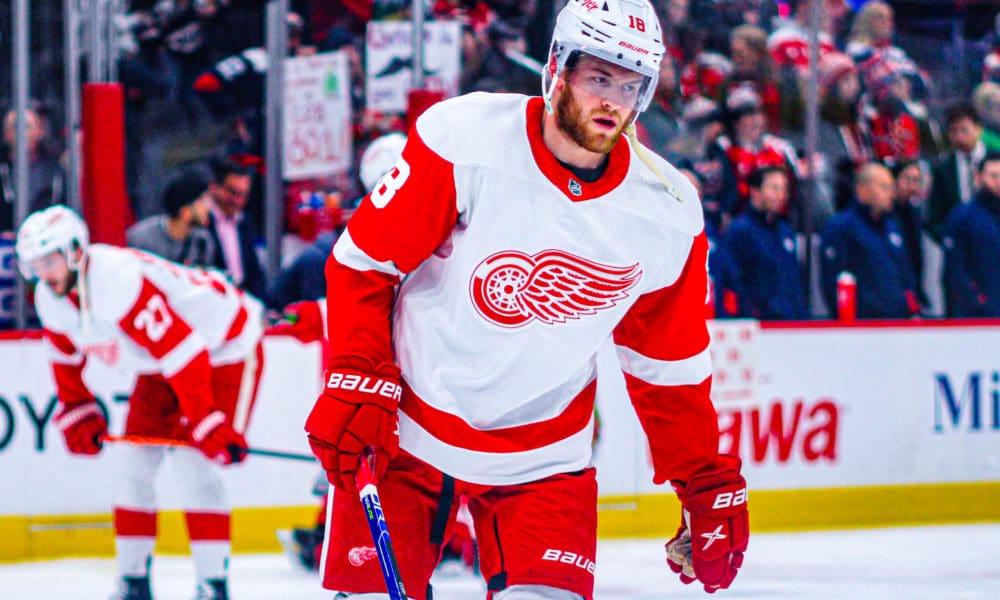 Andrew Copp, Red Wings