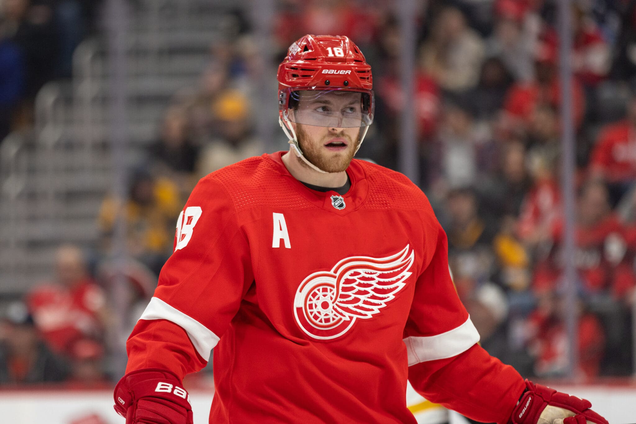 Red Wings Review: Andrew Copp's Future