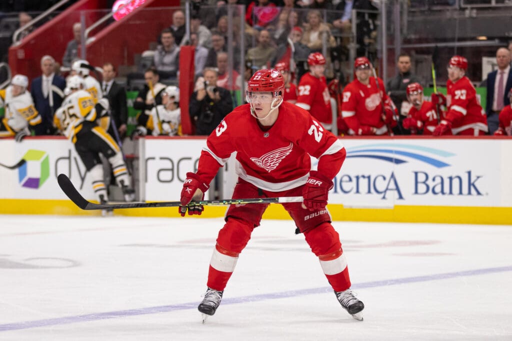 Red Wings' OT Win Vs. Kraken Preserves Playoff Momentum | Detroit ...