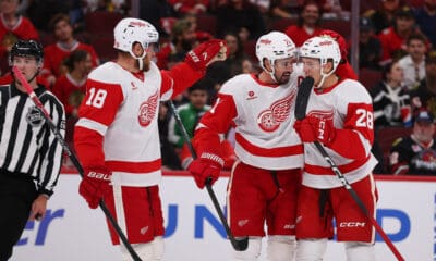 Michael Brandsegg-Nygard, Red Wings