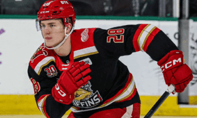 michael Brandsegg nygard