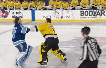 bruins, lightning, red wings